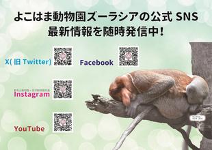 SNS・YouTube 随時発信中！