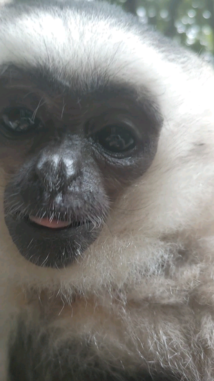 展示場でのプロイ