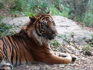 たくさんの感謝をガンターに