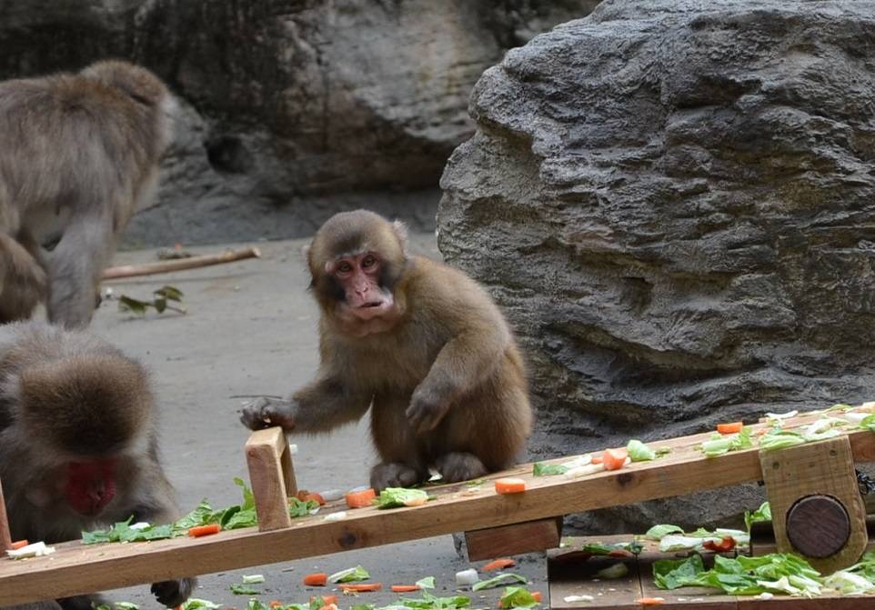 食欲の秋!!の写真