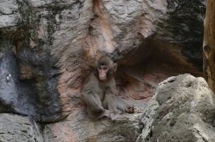 展示場工事終了しました！