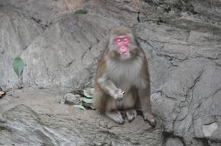 勝手にハロウィンイベント🎃