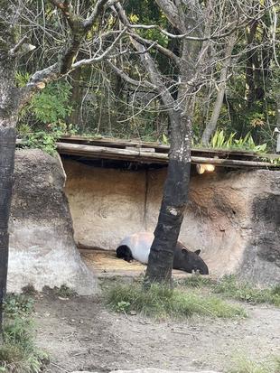 バク通信　冬仕様へバージョンアップ