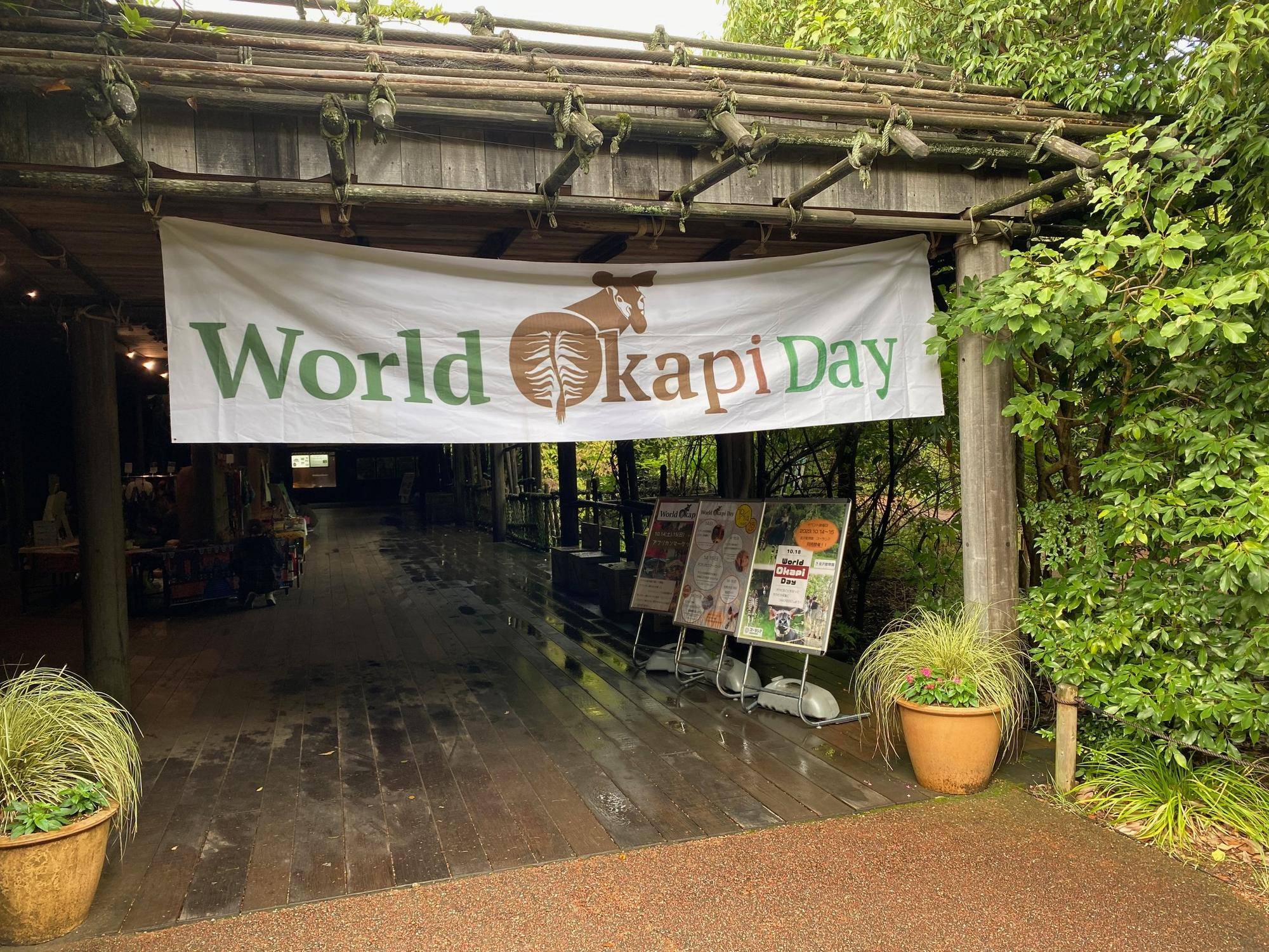 『世界オカピの日』一日目報告!の写真