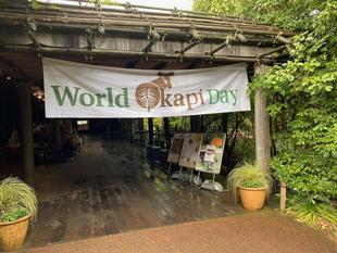 『世界オカピの日』一日目報告！