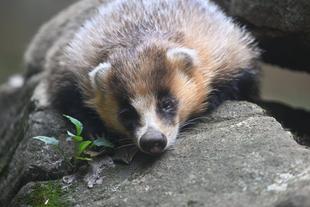 冬に向け・・・