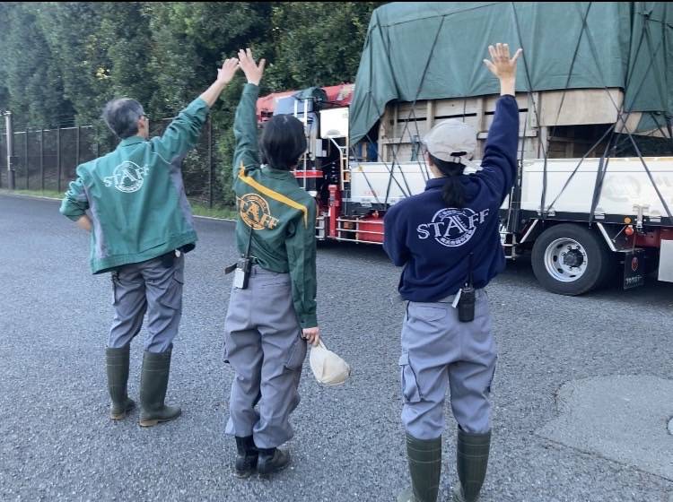 いってらっしゃい!カナト ~キリンのお引越し~の写真