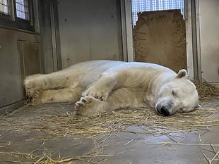 ワラはじめました