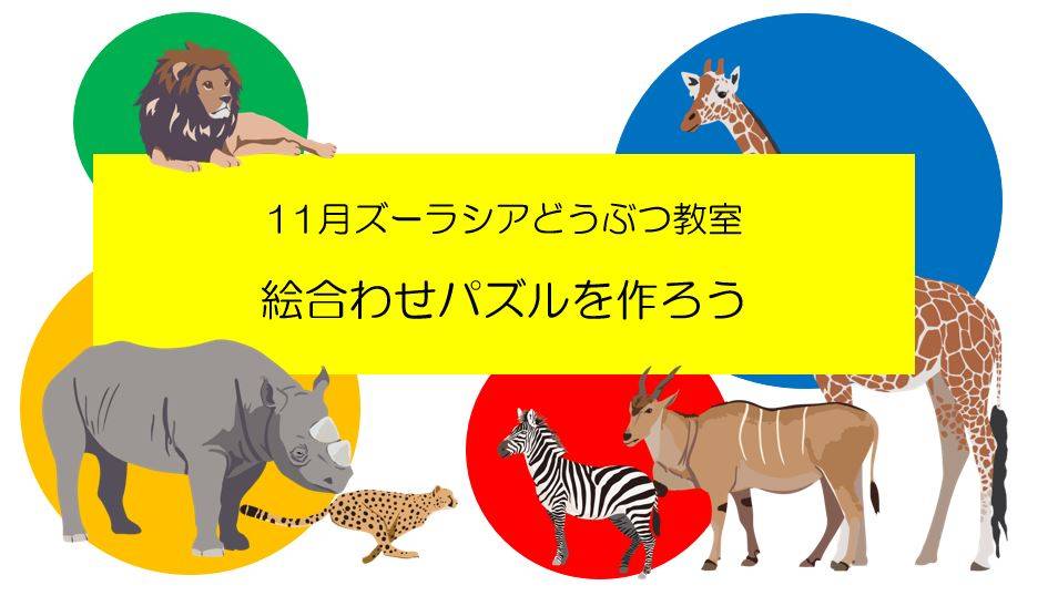 11月のどうぶつ教室は「絵合わせパズルを作ろう」でしたの写真