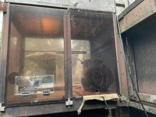 タニとモアラの寒さ対策