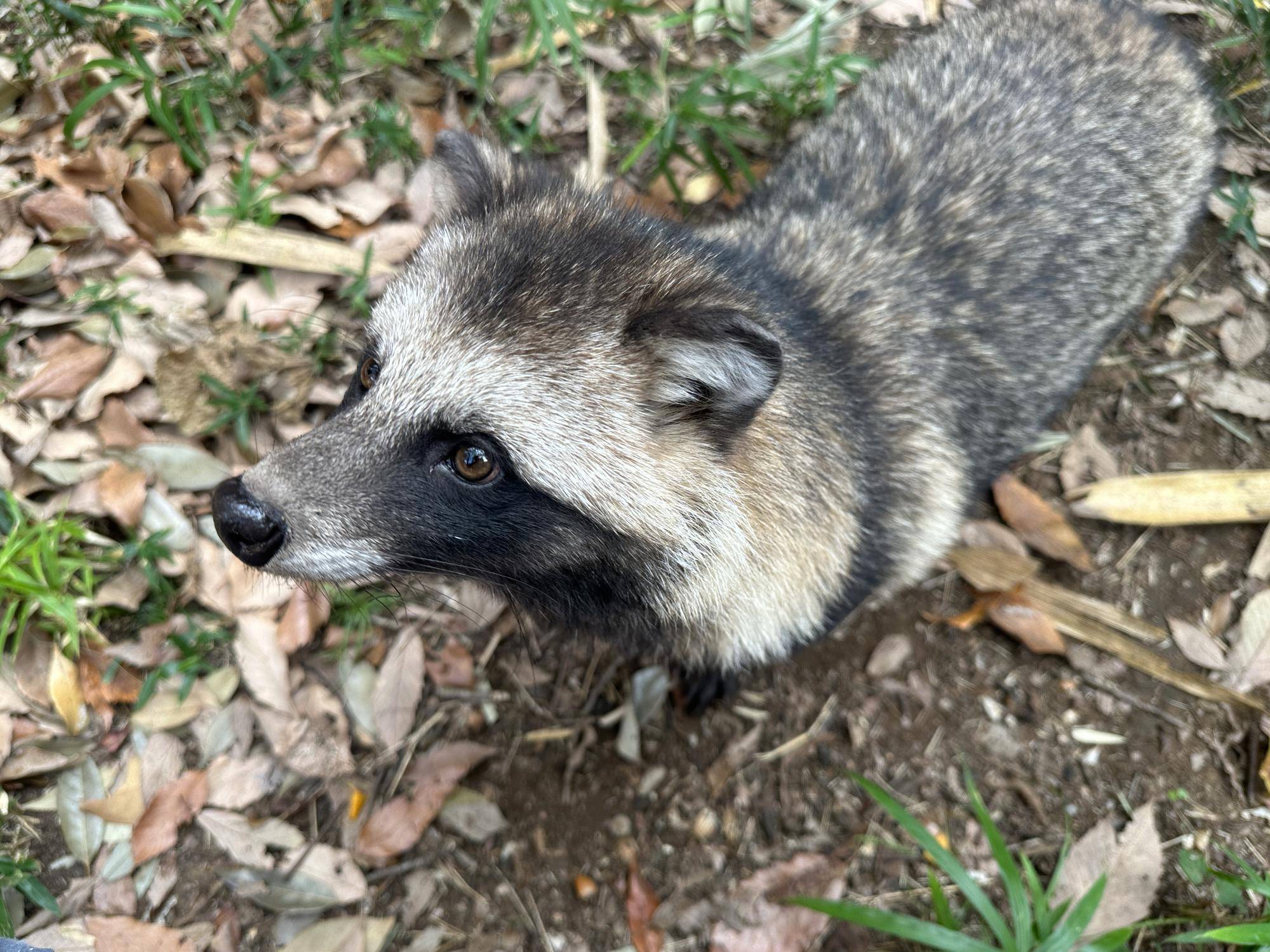 食欲の秋の写真