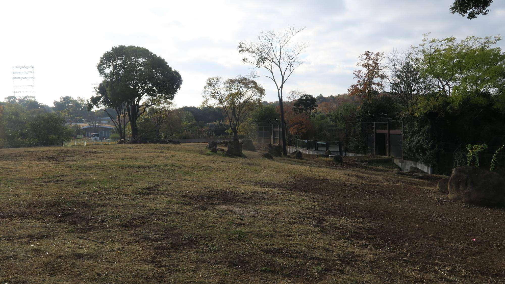 イズモの出勤の様子の写真