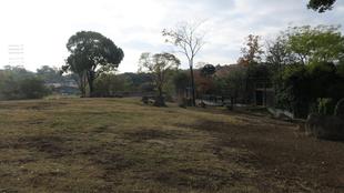 イズモの出勤の様子