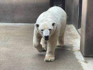 この先どうなる...??