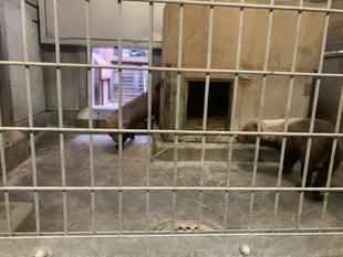 久しぶりの同居!