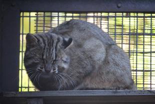 はじめまして、ゆり!お久しぶり、りょう!