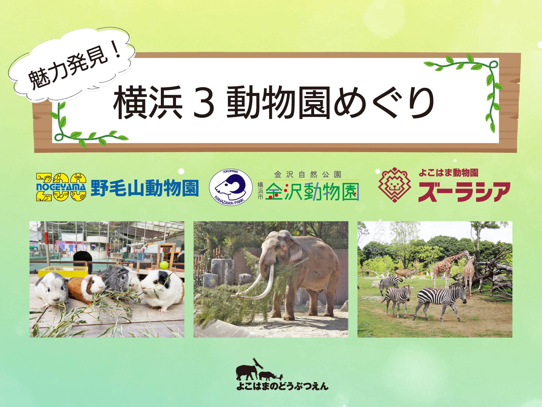 3園連携企画「魅力発見!横浜3動物園めぐり」を実施しましたの写真