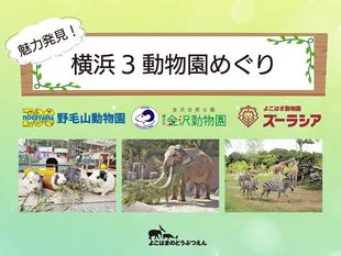 3園連携企画「魅力発見!横浜3動物園めぐり」を実施しました
