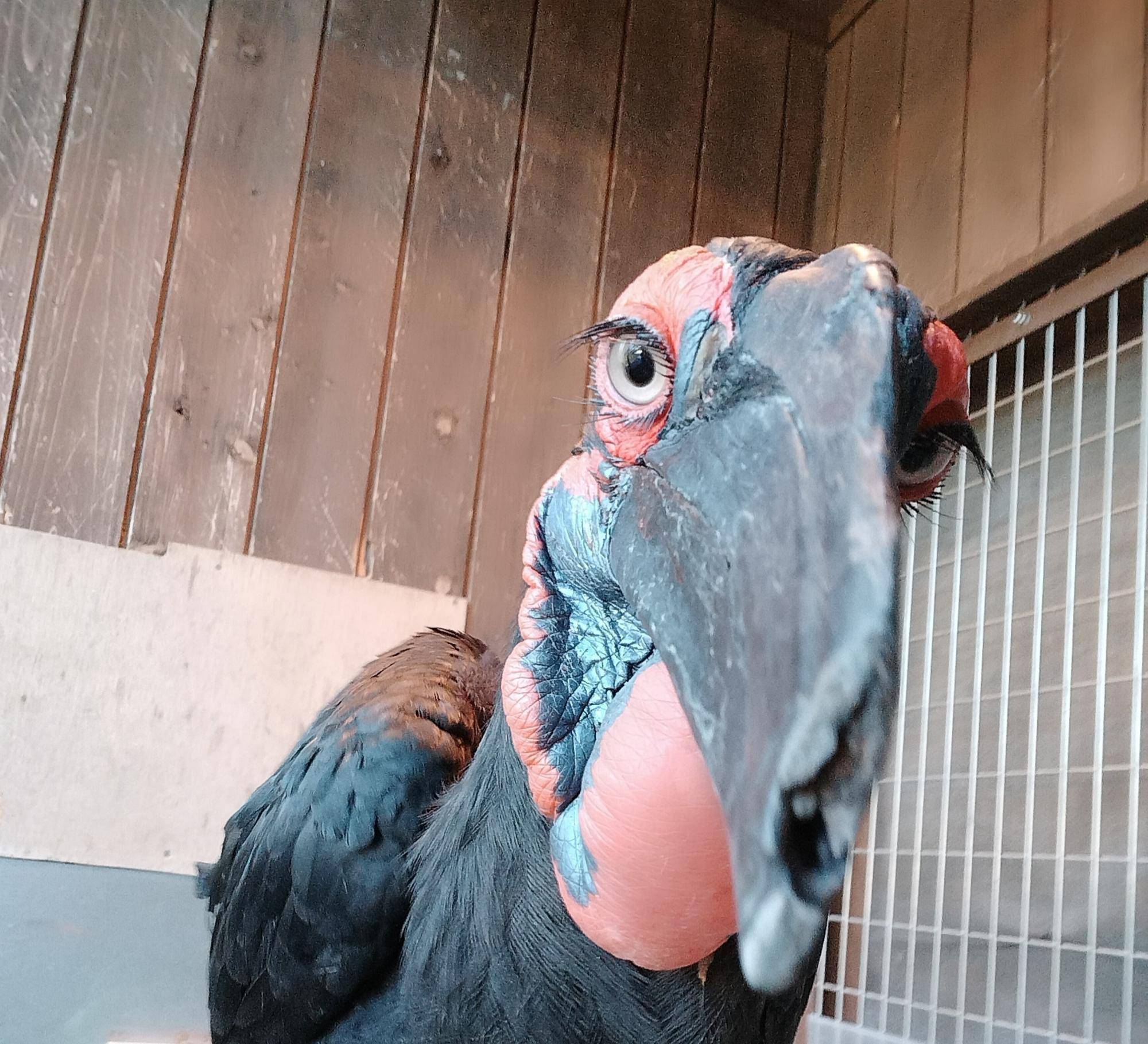 いろんな角度からルースを撮ってみようの写真