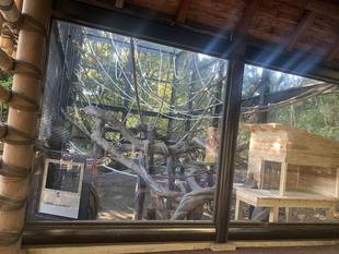 ウーリーモンキーの展示場の工事がおわりました。