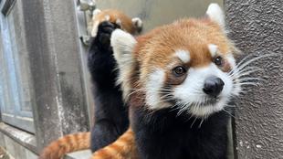 看板写真撮影オフショット