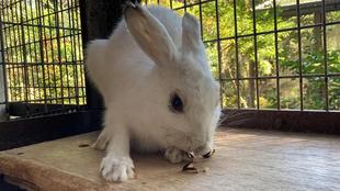 雑草ハンター降臨~後編~