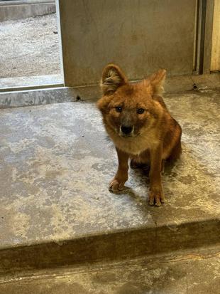 たったどし☆*+。