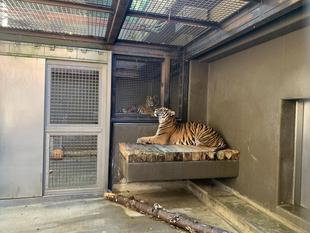 お見合いがはじまりました