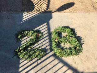 ヒガシクロサイのニルが28才になりました