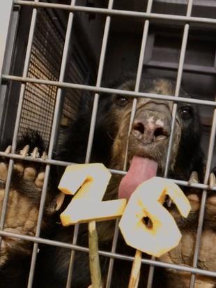 祝　ルイス・ロゲリオ　26歳！！！