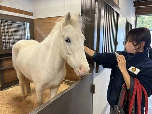 新人成長日記～スノーゴッド編①～