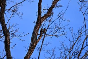 地域の生きもの保全プロジェクト活動のご報告 12月
