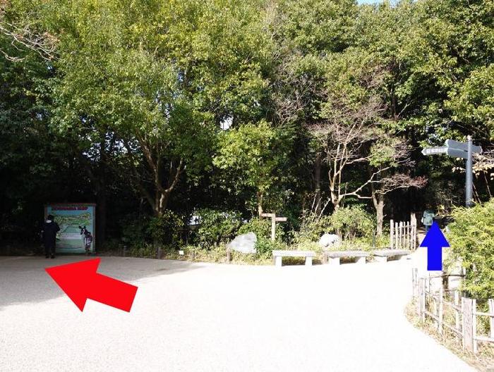 ⑥分かれも道.jpg