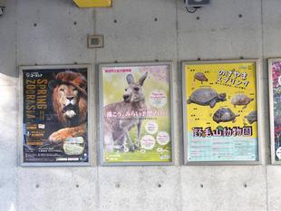 季節の変わり目にはこちらに注目!