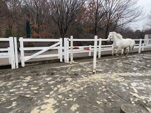 新人成長日記～スノーゴット～　トレーニング編②