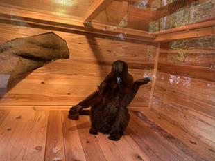 久しぶりの展示場へ