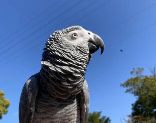 知られざる特技