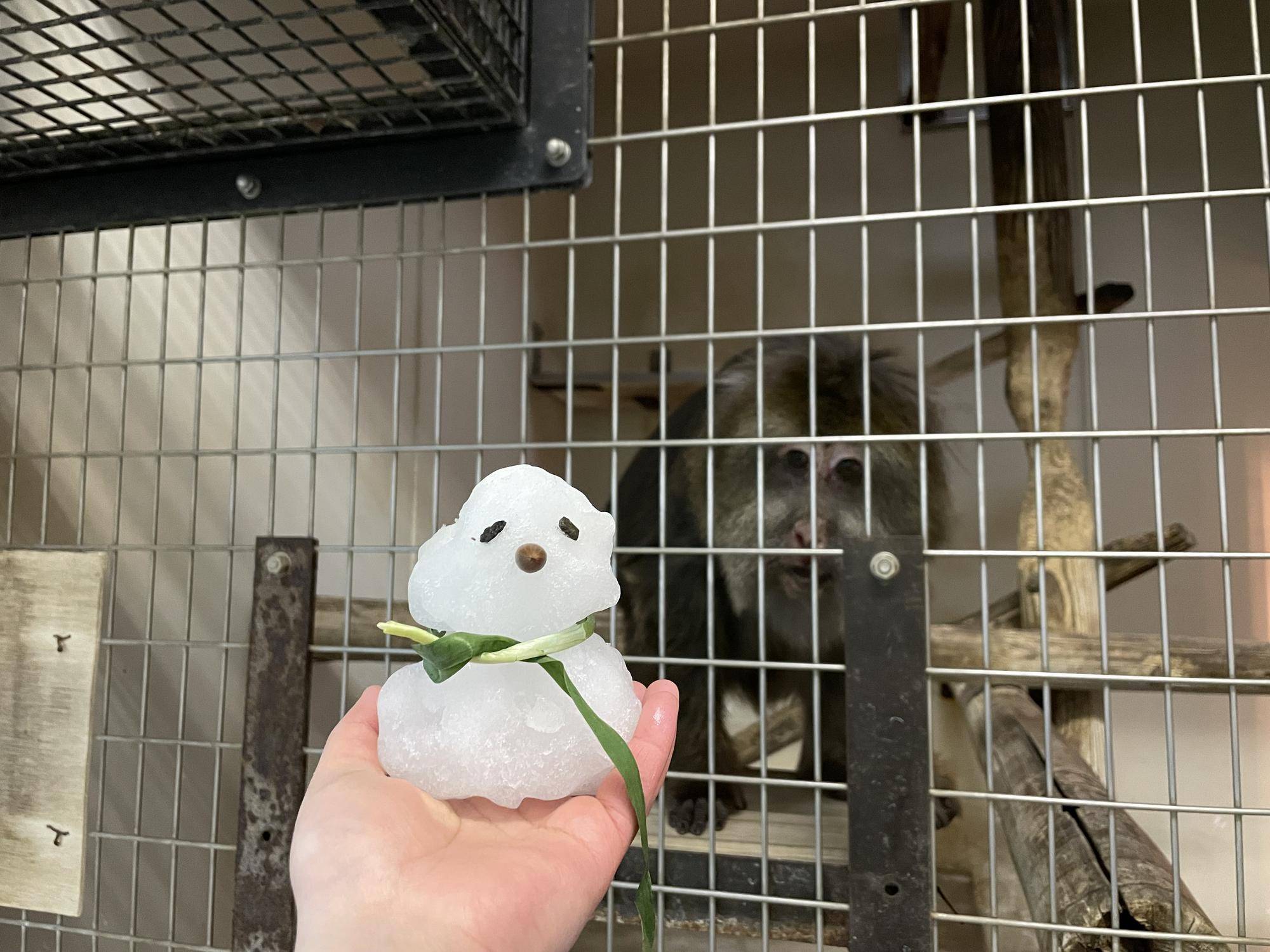 ワカメと雪だるまの写真