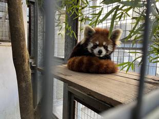 まめたろうとキクの様子は・・・👀