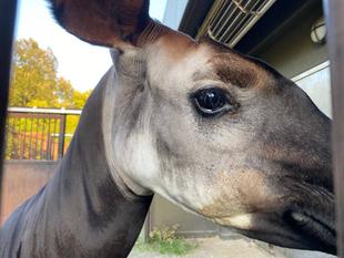 いつもとは違うアングルで。