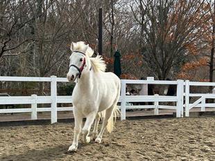 新人成長日記～スノーゴッド編②～
