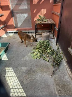 知ってるよ・・・☆*+。