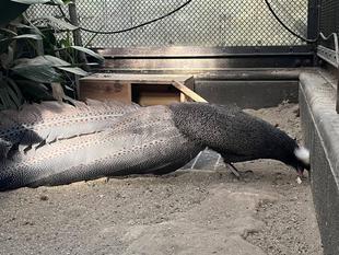 春に向けた準備