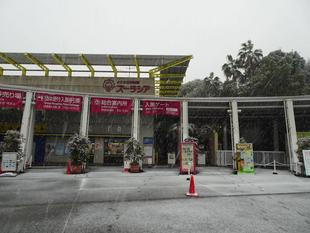 📷Instagram活動日記 ~雪の園内⛄~