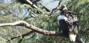 にぎやかになりました♪