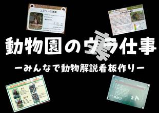 「動物園のウラ仕事-みんなで動物解説看板作り-」を実施しました