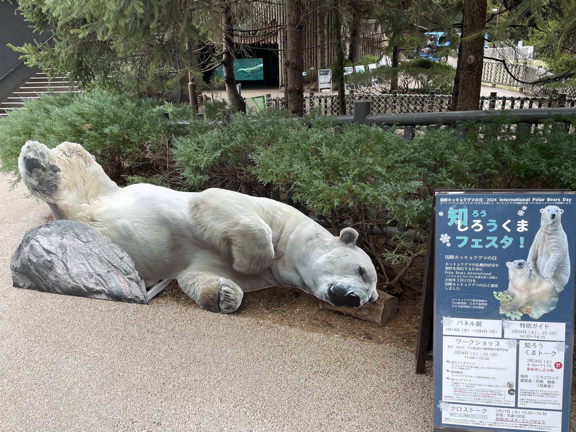 国際ホッキョクグマの日★ご報告の写真
