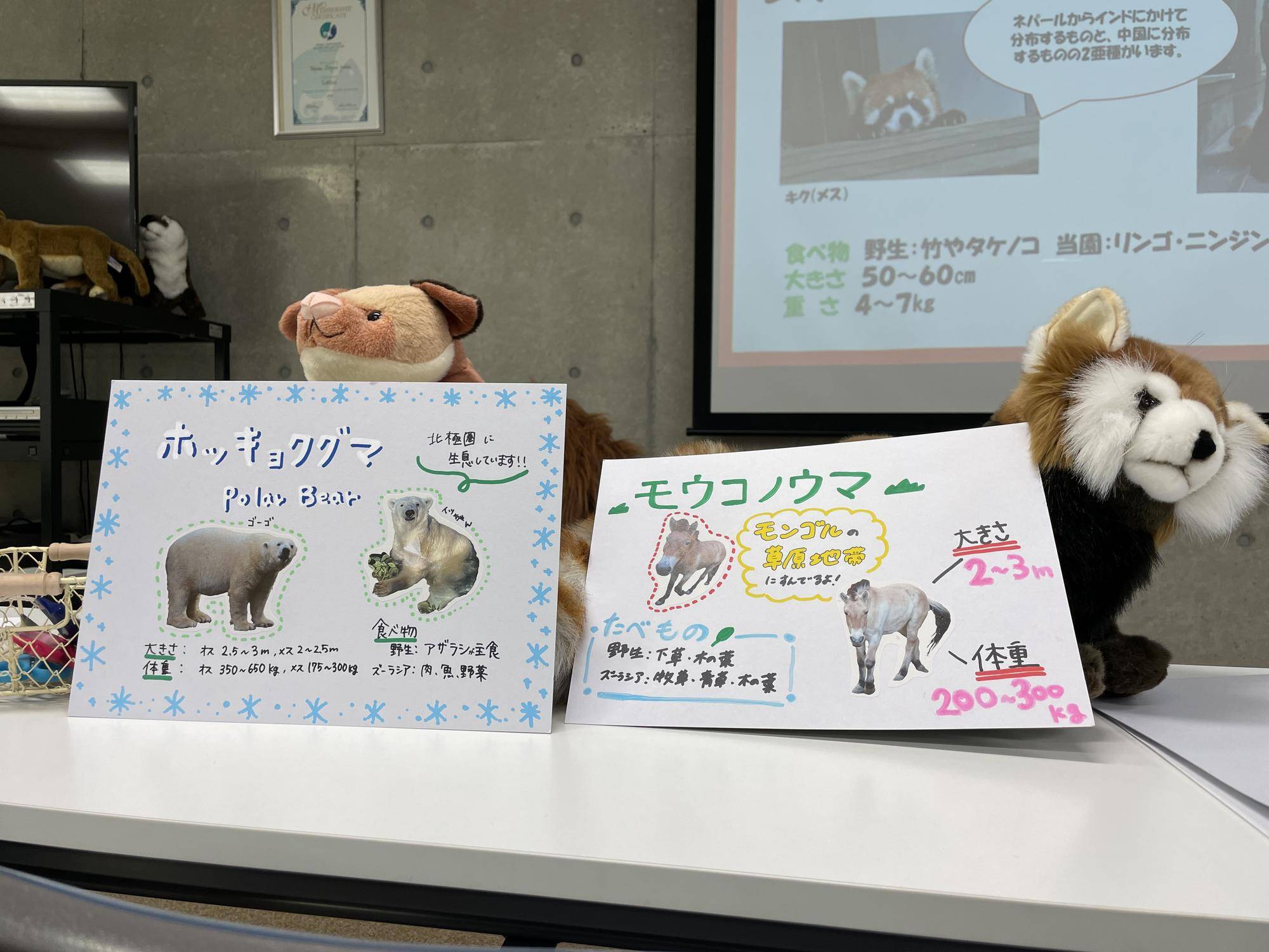 3月ズーラシアどうぶつ教室「動物紹介ボードを作ろう!」の写真