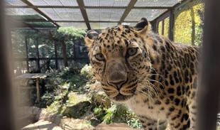 新年度、トライ！