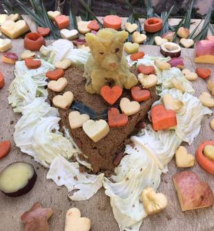 💝メガネグマ　バレンタイン特別ガイド💝　~２日目~